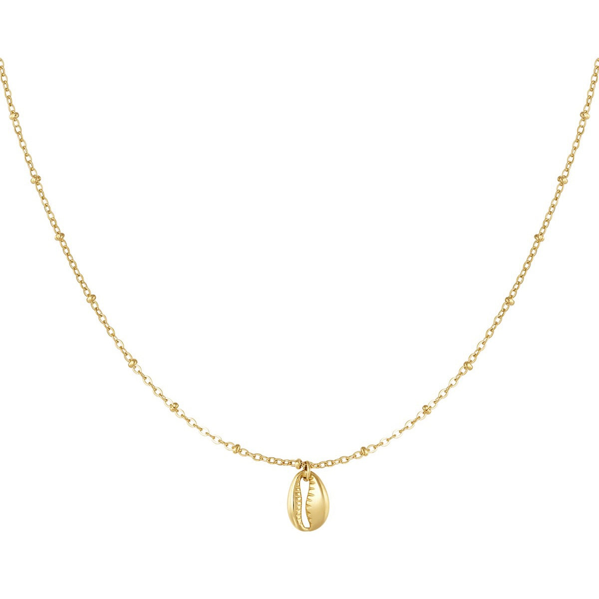 Schelp Ketting