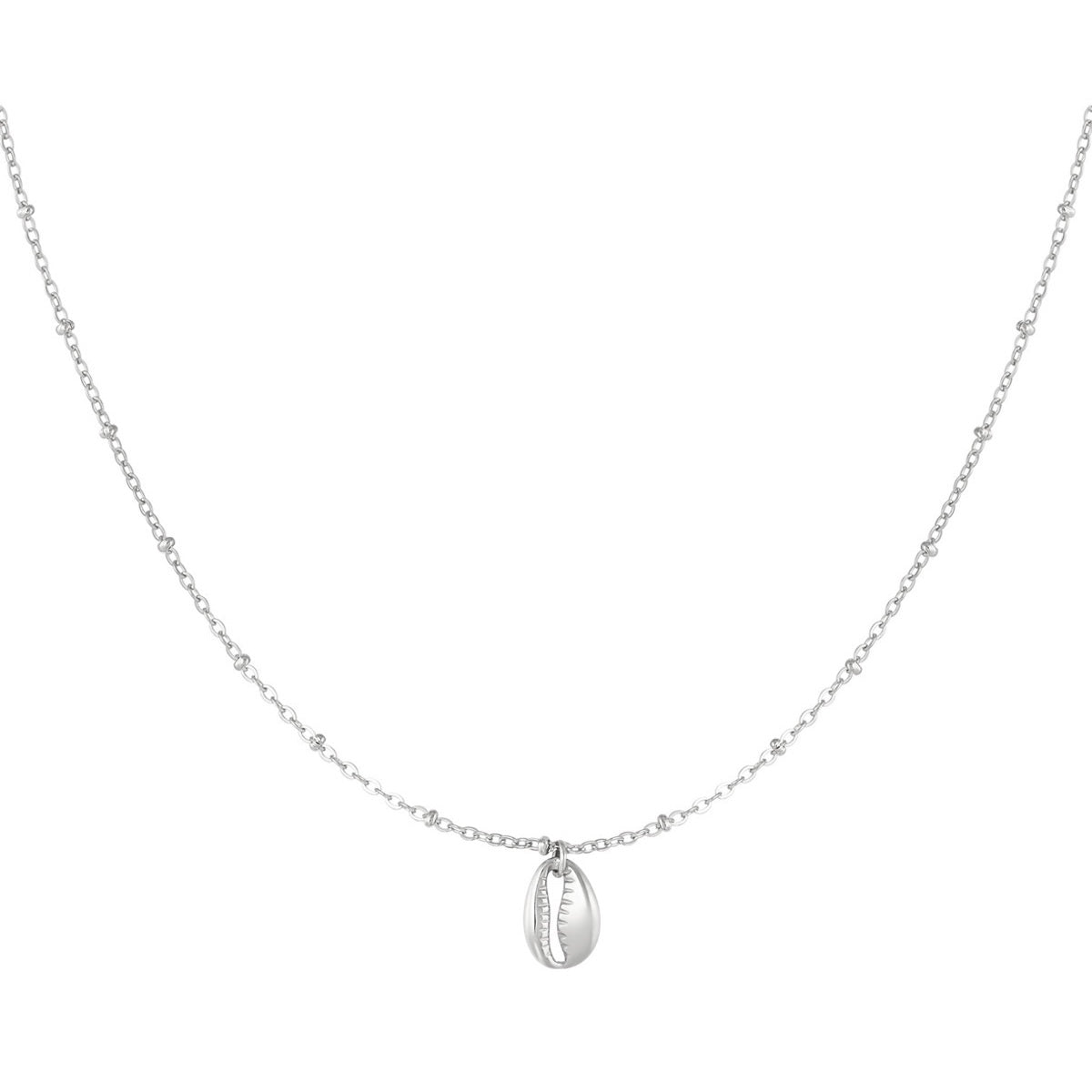 Schelp Ketting
