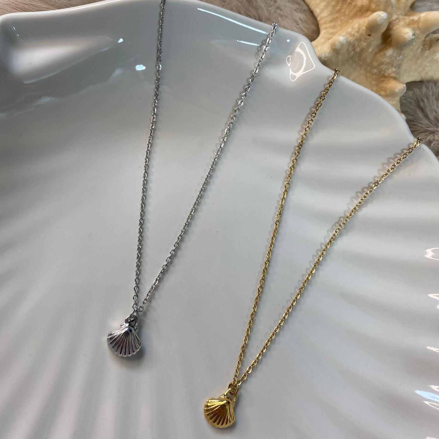 Schelpen Ketting